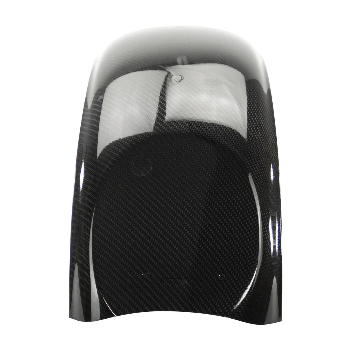 Lowrider Carbon Fiber Rear Fender