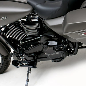 ERG ONE Mini Board (for M8 Softail)